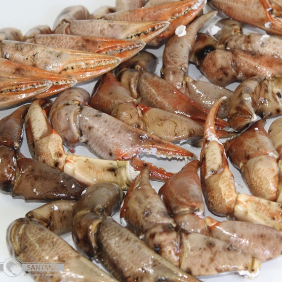 ofertas-bocas-de-cangrejo-mariscos-frescos-cocidos